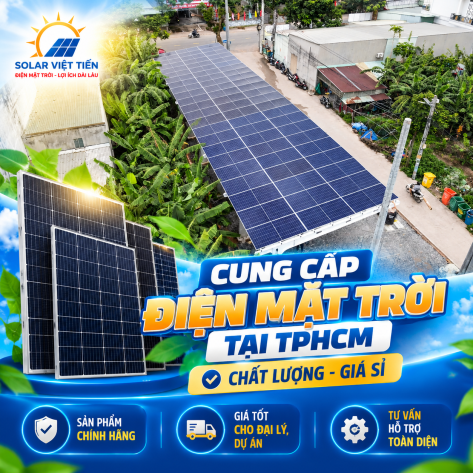 Cung Cấp Mặt Trời Tại TPHCM Chất Lượng Giá Sỉ