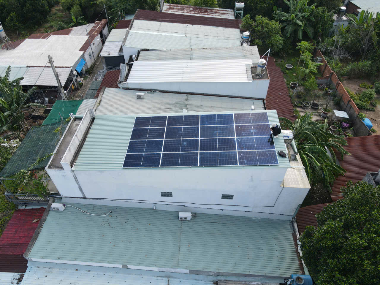 cung cấp mặt trời tại tphcm chất lượng